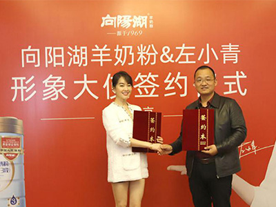 左小青代言向陽湖羊奶粉