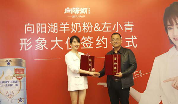 左小青代言向陽湖羊奶粉，攜手品牌再次升級